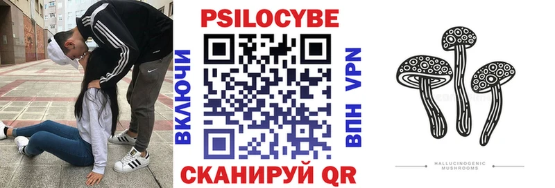 Псилоцибиновые грибы Psilocybine cubensis  Купить где  Духовщина 